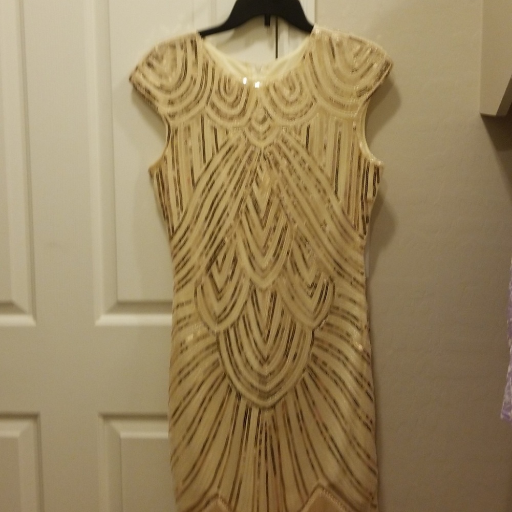 Woman's Roaring 20's Dress